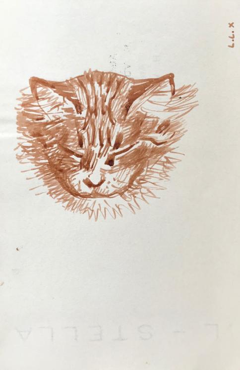 Hélène VOGT - Original drawing - Ink - Cat 45