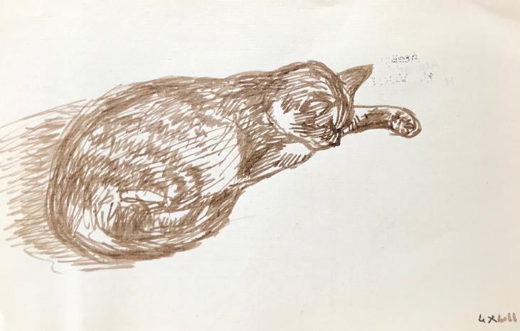 Hélène VOGT - Original drawing - Ink - Cat 50