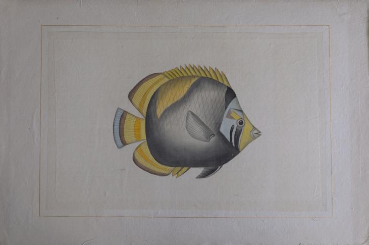 La Roche LAFFITTE  - Original painting - Watercolor - Fish 1
