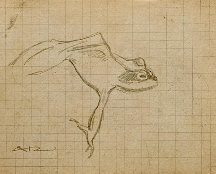 Auguste ROUBILLE - Original drawing - Pencil - Frog 1