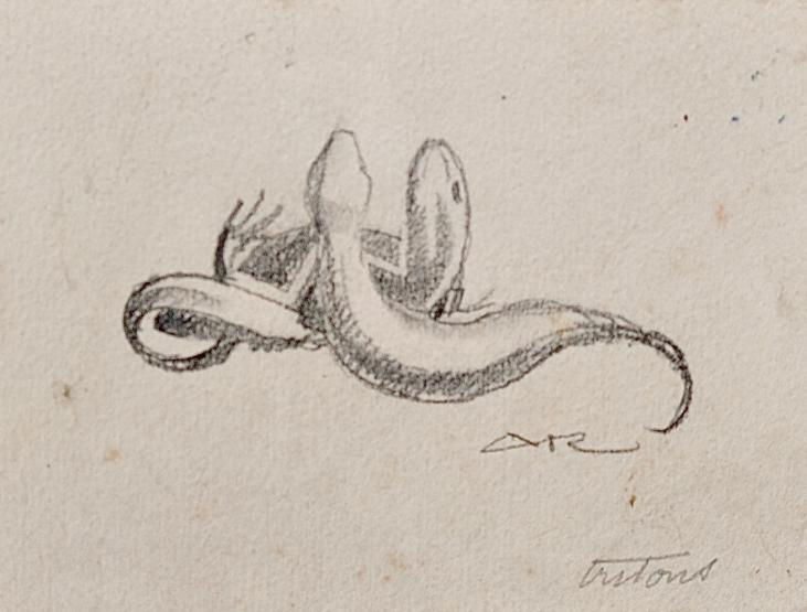 Auguste ROUBILLE - Original drawing - Pencil - Lizard 1