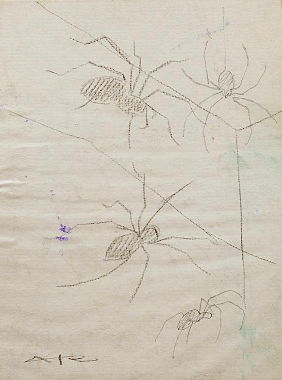 Auguste ROUBILLE - Original drawing - Pencil -Spider 1