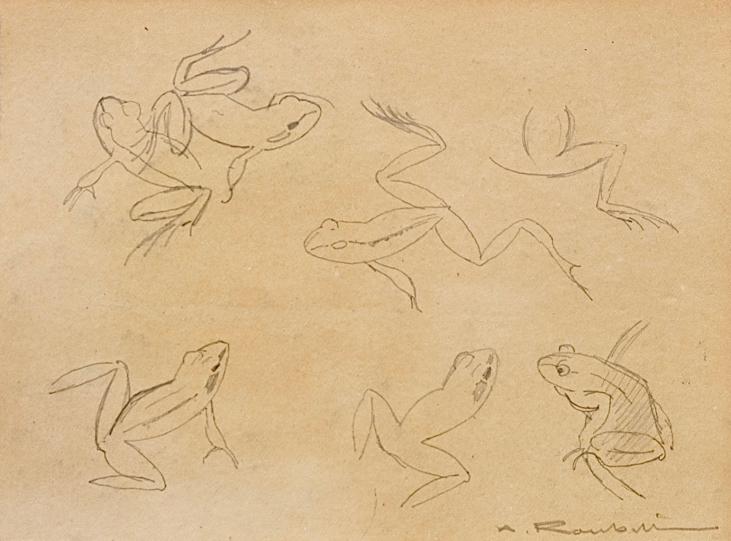 Auguste ROUBILLE - Original drawing - Pencil - Frog 6