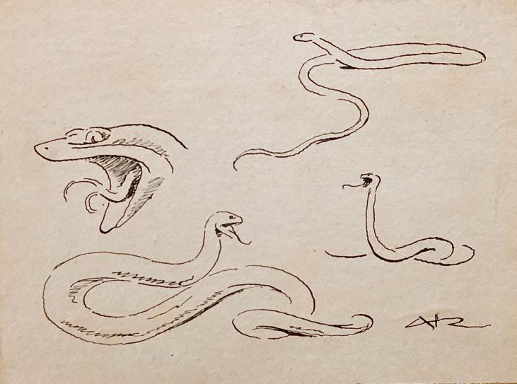 Auguste ROUBILLE - Original drawing - Pencil -Snake 1