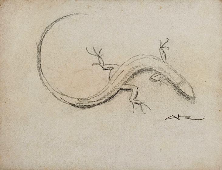 Auguste ROUBILLE - Original drawing - Pencil - Lizard 2