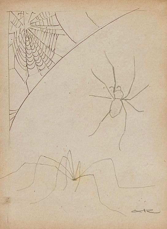 Auguste ROUBILLE - Original drawing - Pencil -Spider 5