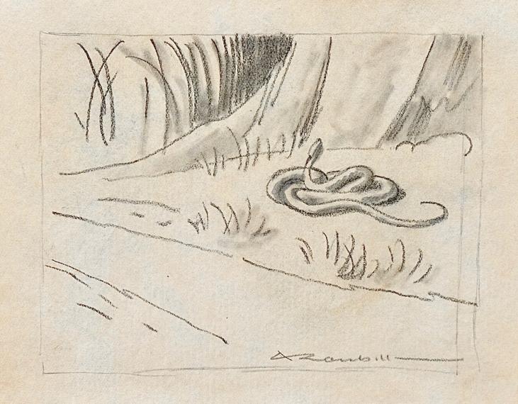 Auguste ROUBILLE - Original drawing - Pencil - Snake in kind 1