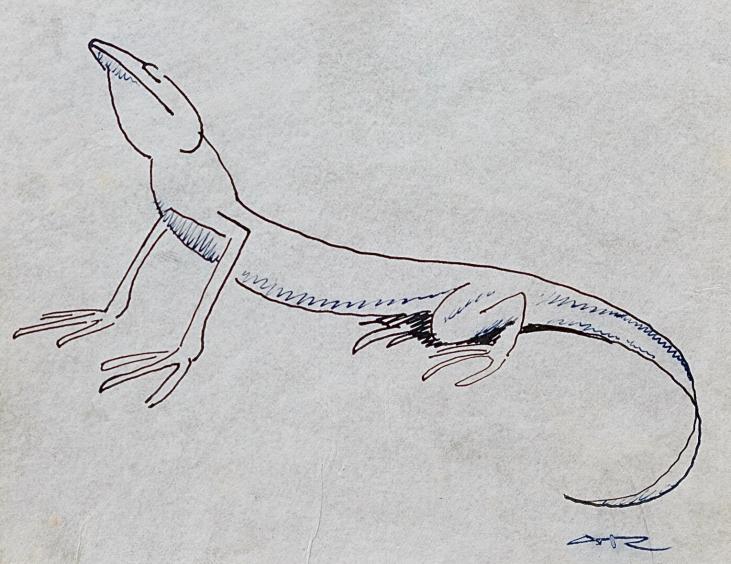 Auguste ROUBILLE - Original drawing - Ink - Lizard 3