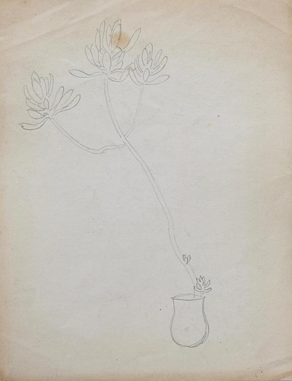 Auguste ROUBILLE - Original drawing - Pencil - Study of flowers 3