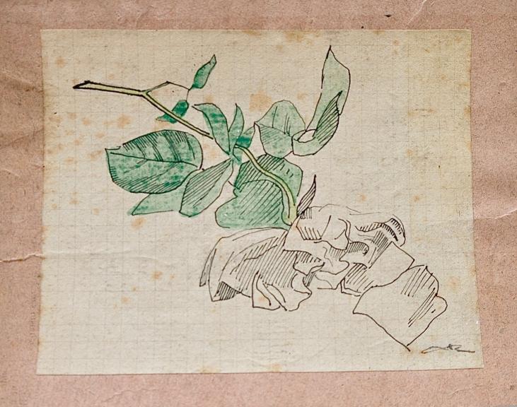 Auguste ROUBILLE - Original drawing - ink - Study of Flowers 6