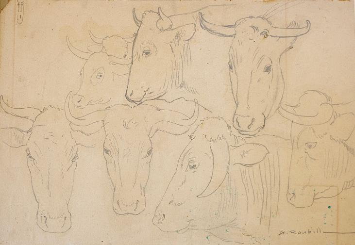 Auguste ROUBILLE - Original drawing - Pencil - Studies of cow heads