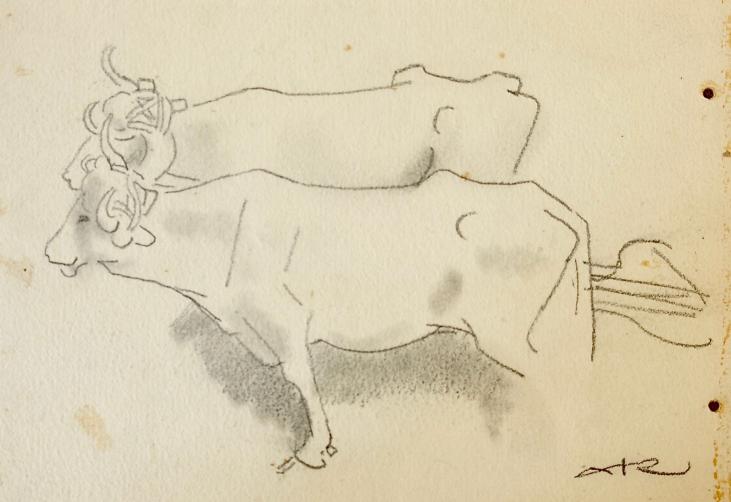 Auguste ROUBILLE - Original drawing - Pencil - Cow 3