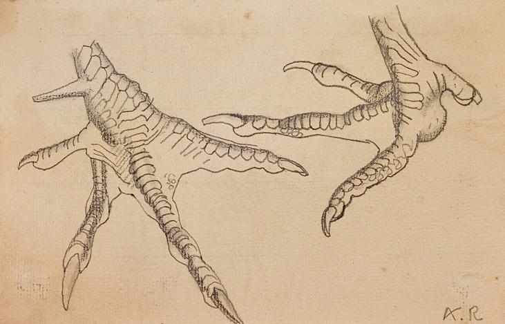 Auguste ROUBILLE - Original drawing - Pencil - Ostrich legs