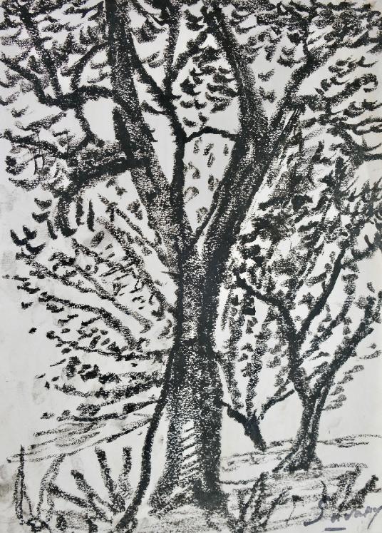 Robert SAVARY - Original drawing - Pastel - The tree