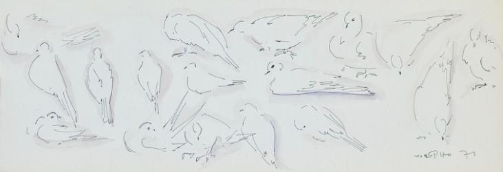 Claude VIETHO - Original drawing - Ink - Doves