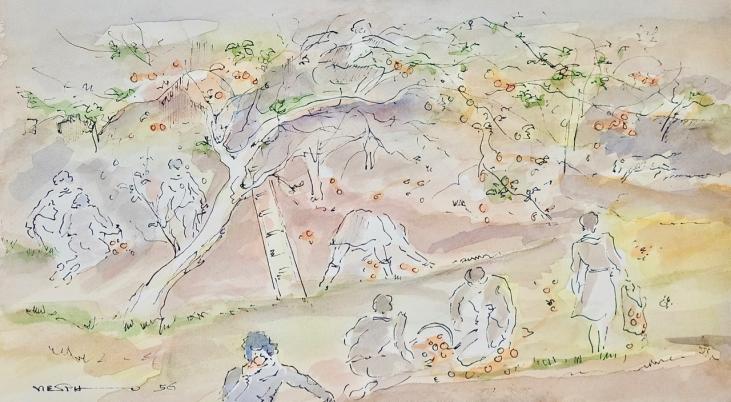 Claude VIETHO - Original drawing - Ink - Apple picking