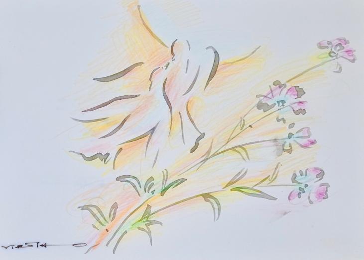 Claude VIETHO - Original painting - Watercolor - Dove