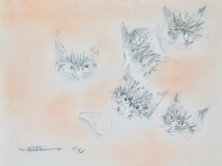 Claude VIETHO - Original drawing - Pencils - Cat study