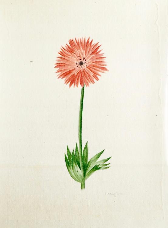 LA ROCHE LAFFITTE - Original painting - Watercolor - Flower 3