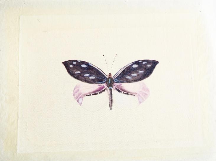 LA ROCHE LAFFITTE - Original painting - Watercolor - Purple butterfly