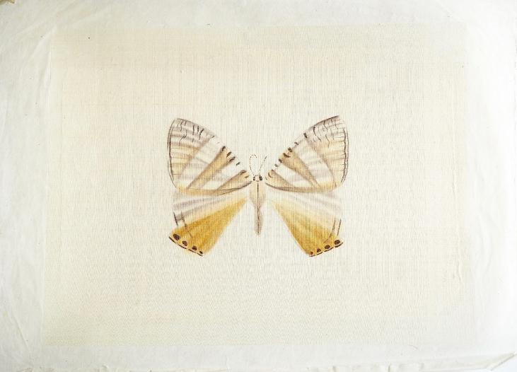 LA ROCHE LAFFITTE - Original painting - Watercolor - Brown butterfly