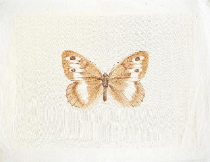 LA ROCHE LAFFITTE - Original painting - Watercolor - Brown butterfly 3