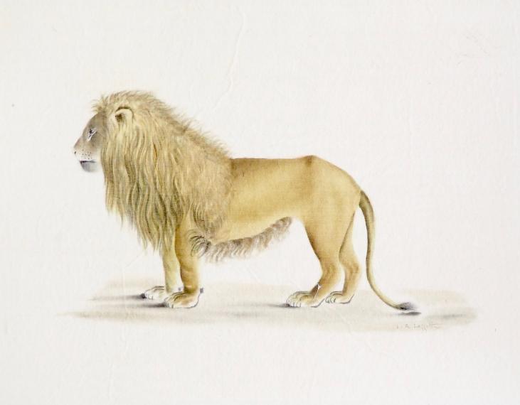 LA ROCHE LAFFITTE - Original painting - Watercolor - Lion 1