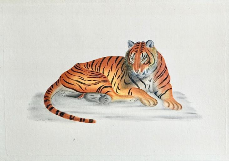 LA ROCHE LAFFITTE - Original painting - Watercolor - Tiger
