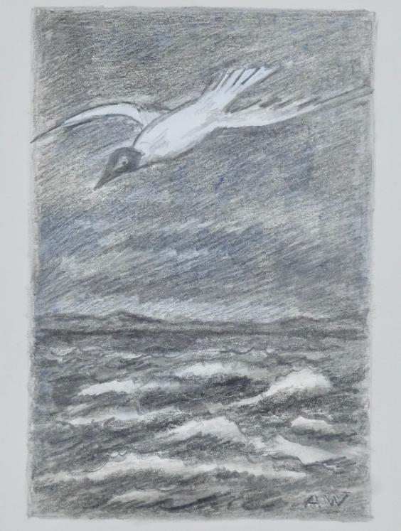 Armel DE WISMES - Original Drawing - Pencils - Flight over the waves