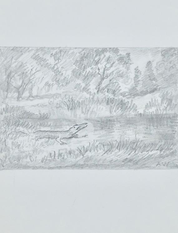 Armel DE WISMES - Original Drawing - Pencils - Crocodile 2