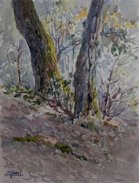 Etienne GAUDET - Original painting - Watercolor - Undergrowth 4