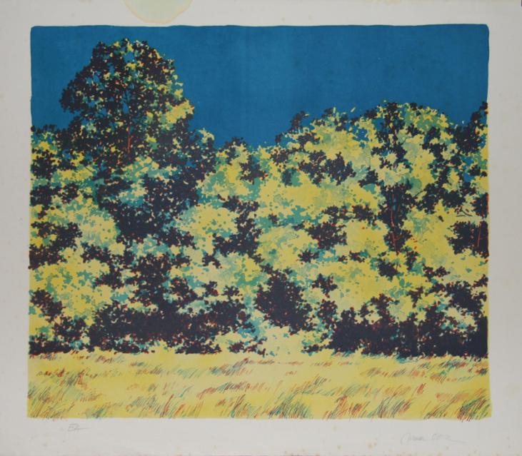 Michel BEZ - Original print - Lithograph - Glade yellow
