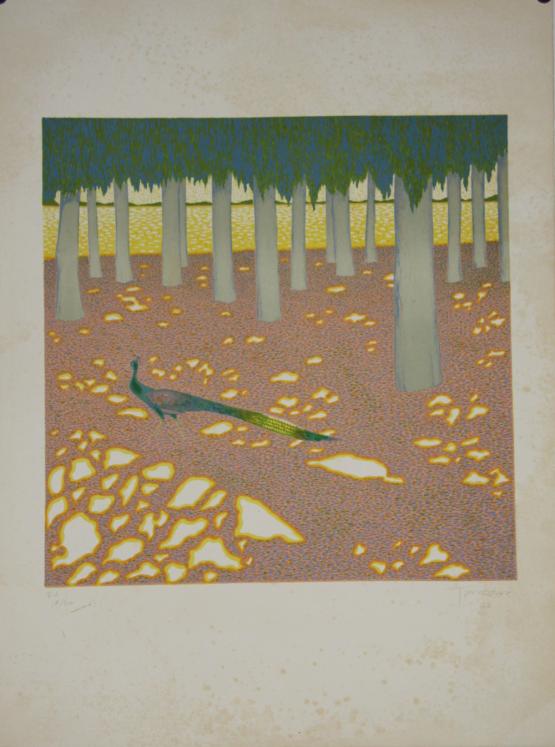 Manolo TARAZONA - Original print - Lithograph - The peacock