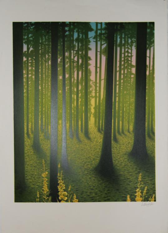 Daniel SCIORA - Original print - Lithograph - Forest light