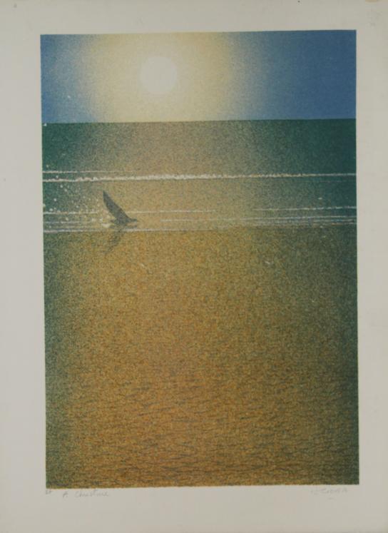 Daniel SCIORA - Original print - Lithograph -  The flight of the seagull