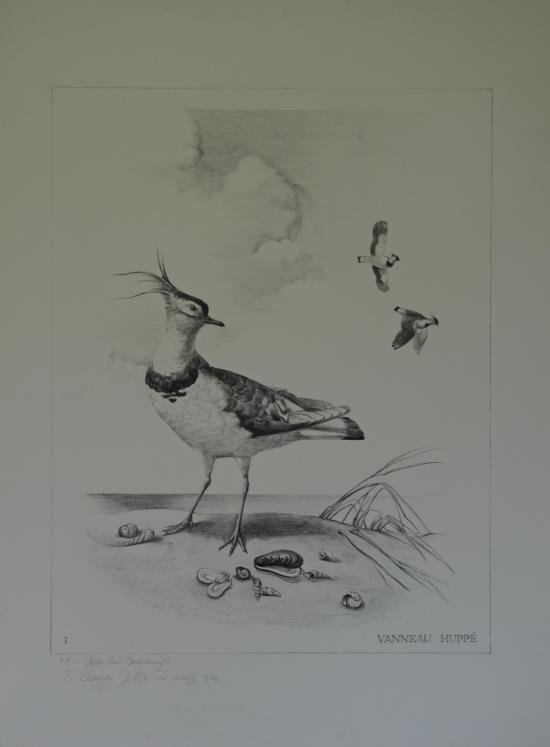 Jean-Lin DESCAMPS - Original print - Lithograph - Crested Lapwing