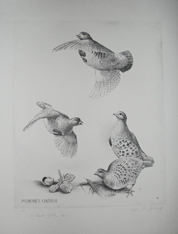 Jean-Lin DESCAMPS - Original print - Lithograph - Gray partridges