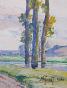 Etienne GAUDET - Original painting - Watercolor - Clump of Trees