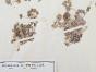 Botanical - 19th Herbarium Board - Dried plants -  Rosaceae 4