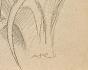 Auguste ROUBILLE - Original drawing - Pencil - Iris 2
