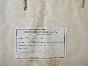 Botanical - 19th Herbarium Board - Dried plants - Papaveraceae 4