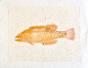 LA ROCHE LAFFITTE - Original painting - Watercolor - Fish 4
