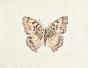 LA ROCHE LAFFITTE - Original painting - Watercolor - Brown Butterfly