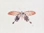 LA ROCHE LAFFITTE - Original painting - Watercolor - Red Butterfly
