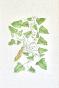 LA ROCHE LAFFITTE - Original painting - Watercolor - Ivy