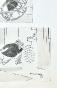 Henri MOREZ - Original Drawing - Ink - Sea sickness