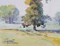 Etienne GAUDET - Original painting - Watercolor - Bouquet of Trees