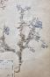 Botanical - 19th Herbarium Board - Dried plants - Corymbifera 4