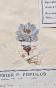 Botanical - 19th Herbarium Board - Dried plants - Corymbifera 3