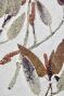 Botanical - 19th Herbarium Board - Dried plants - Primulaceae 46
